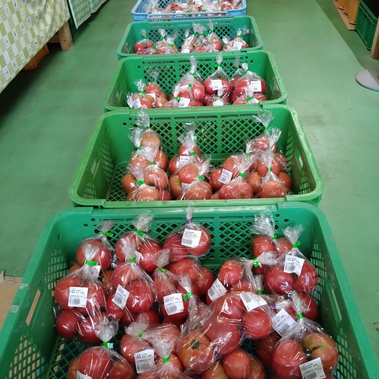 のぼりの並ぶ苗の売場